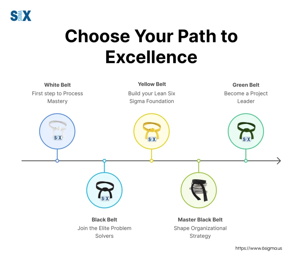 Image: Choose Your Path to Excellence with Lean Six Sigma